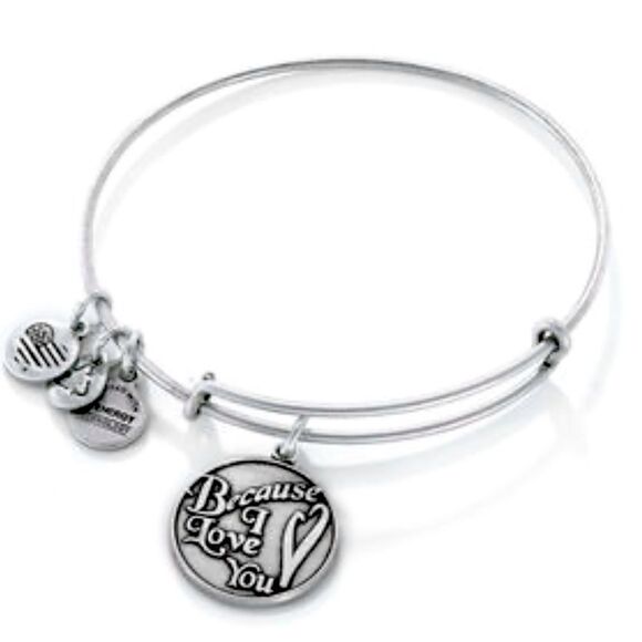 Alex and Ani "Because I Love You" Charm Bangle in Silver-Tone Brass - Picture 1 of 2